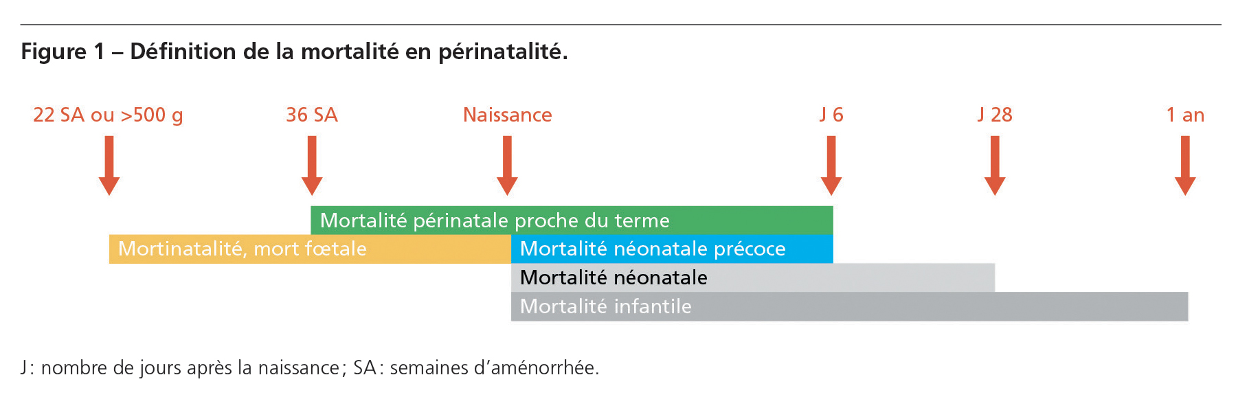 Chas_perinatalite_figure-1